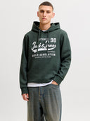 JJELOGO SWEAT HOOD 2 COL AW26 SN 12299467