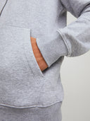 JJEBRADLEY SWEAT ZIP HOOD NOOS 12249342