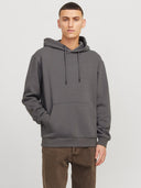 JJEBRADLEY SWEAT HOOD NOOS 12249340