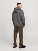 JJEBRADLEY SWEAT HOOD NOOS 12249340