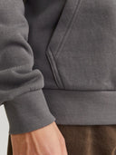 JJEBRADLEY SWEAT HOOD NOOS 12249340