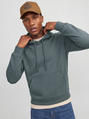 JJEBRADLEY SWEAT HOOD NOOS 12249340