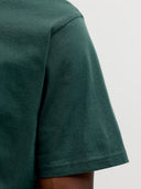 JJESOHO TEE SS CREW NECK NOOS 12278787
