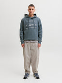 JJELOGO SWEAT HOOD 2 COL AW26 SN 12299467
