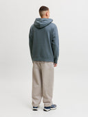 JJELOGO SWEAT HOOD 2 COL AW26 SN 12299467