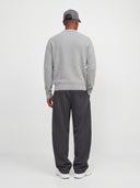 JCOCLUB KNIT STRUCTURE CREW NE CK 12300879