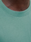 JJESOHO TEE SS CREW NECK NOOS 12278787