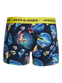 JACFLOWER BIRD TRUNKS 3 PACK N OOS 12194104
