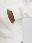 JJEBRADLEY SWEAT ZIP HOOD NOOS 12249342