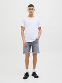 JJIRICK JJIORIGINAL SHORTS AM 360 SN 12269612